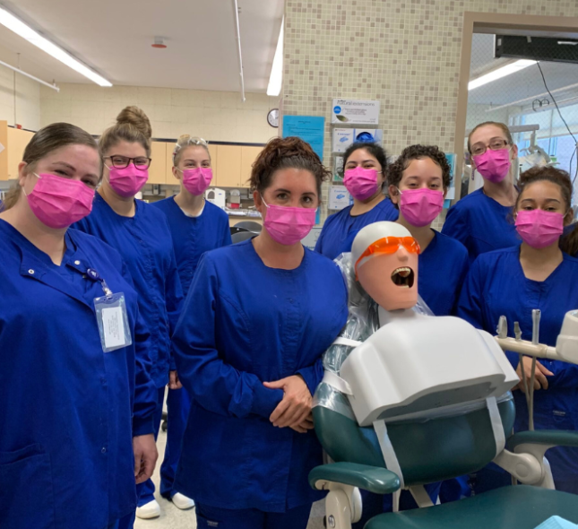 sharkdental-classes sharkdental-classes